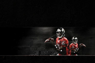 NFL Wallpapers And Football Wallpapers Page 16