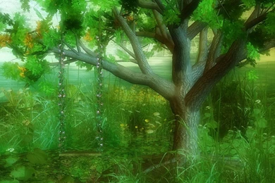 Imagine Wallpapers By ART TLC, Wallpapers TLC, Imagine 3 Wallpapers