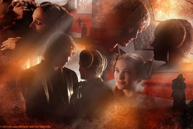 Anakin And Padmé : The Gallery
