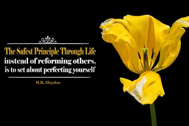 Best Motivational Quotes Wallpapers  AtozWallpapers