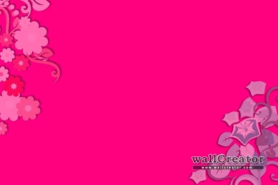 Pinky Wallpaper!   1280 / 800 Wallpapers