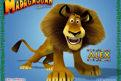 Lion   Search Wallpapers