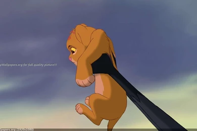 The Lion King Cartoon HD Image Wallpapers For iPhone   Cartoons ...
