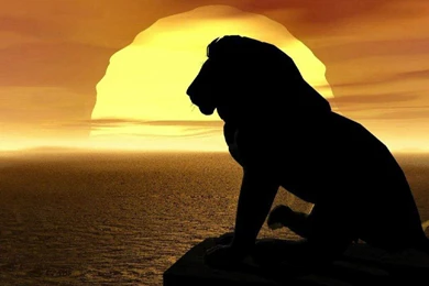 Simba Wallpapers   Wallpapers Cave