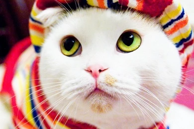 Pinky Wallpapers   Wallpapers Cave