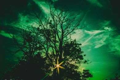 Theory Of A Deadman ( Better Or Worse ) HD Desktop Wallpapers ...