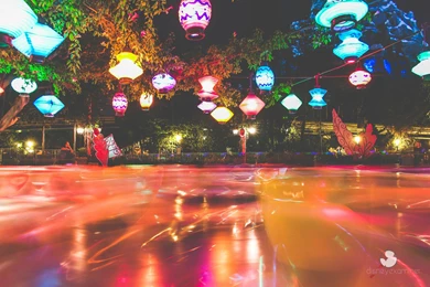 Spring Into The New Season With Our Latest Free Disney Wallpapers ...