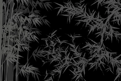 Bamboo Shadows On Black >> HD Wallpaper, Get It Now!