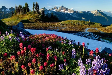 Spring Mountains Desktop Wallpapers   Wallpaper.