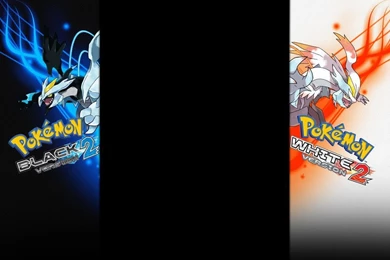 Pokemon Black Backgrounds   Wallpapers Cave