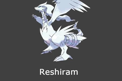 Reshiram pokemon.jpg