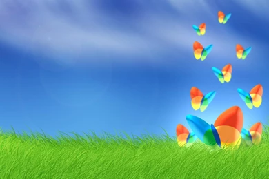 Animated Wallpapers.jpg