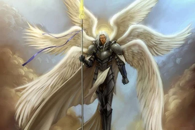 193 Angel Warrior HD Wallpapers