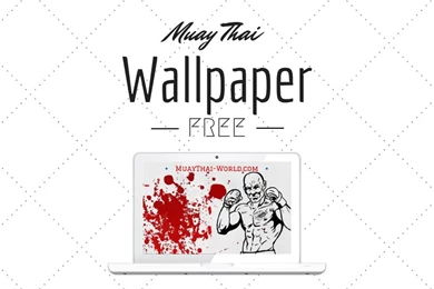 Muay Thai Wallpapers Archive   Muaythai World.com