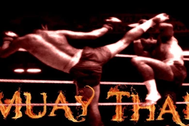 Panoramio   Photo Of Muay Thai High Kick Wallpapers