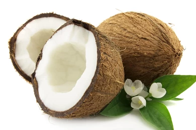 COCONUTS WALLPAPER   (