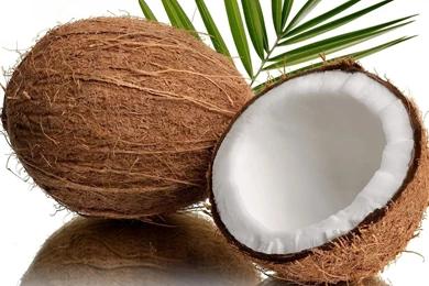 Coconut With Goggles Widescreen Wallpapers