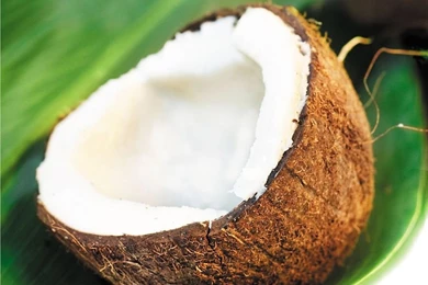 Fruit Juice Business Opportunity