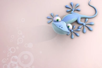 Funny Wallpapers In 3d