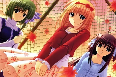 Sexy HD Anime Wallpapers