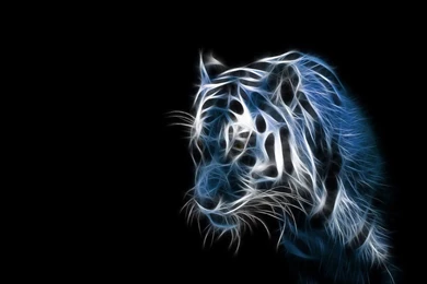 I Am Wildcat's DeviantArt Gallery