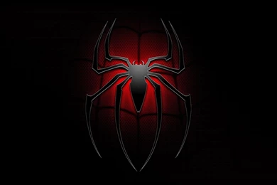 The Amazing Spider Man 2   Logo On Black Wallpapers   Movie Smack ...