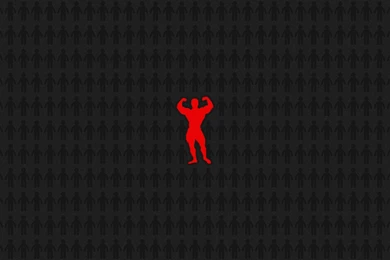 Bodybuilding Fitness Gym Motivation » WallDevil   Best Free HD ...