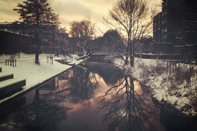 Reflections Sepia Trees Urban Wallpapers