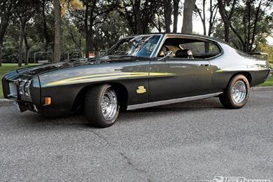 Gto Judge Wallpapers