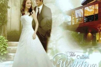 Twilight Breaking Dawn Bella And Edward, Wallpaper, Twilight ...