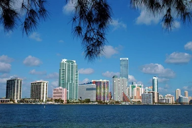Vertical Wallpapers Miami Skyline