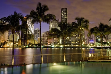 Miami Skyline At Night Wallpapers Wallpaper.