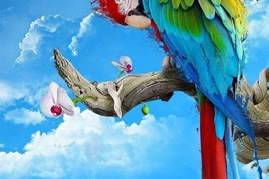 Wallpapers Full Hd 1080 X 1920 For Smartphone Htc Galaxy Lumia Lg ...