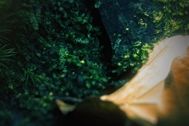 Samsung Galaxy S4 FULL HD Wallpapers By Seadesigns On DeviantArt