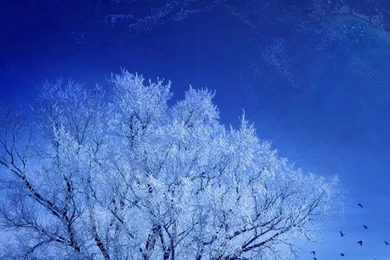 Download Wallpapers 1080x1920 Nature, Landscape, Winter, Sky, Snow ...