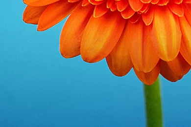 50 Best Samsung Galaxy S4 Wallpapers – Page 2 – Tech Brij