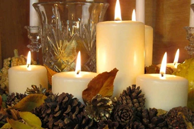 Free Desktop Wallpapers   Other   4090 1024x768