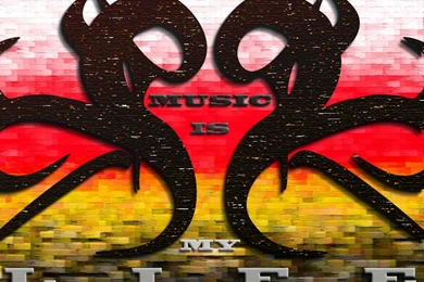 Music Saves My Soul   Music Wallpapers (26370019)   Fanpop