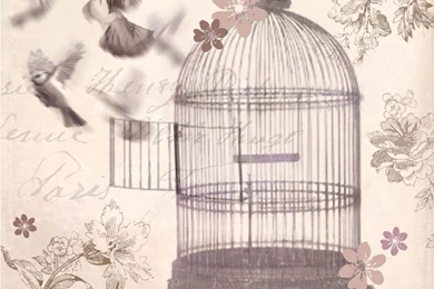 Bronze Birdcage Canvas By Arthouse : Wallpapers Direct