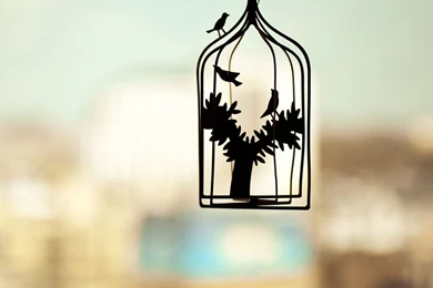 Bird Cage iPad Wallpapers Download