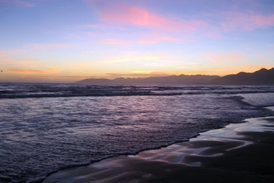 Wallpapers, Background, Scenery, Summer, Palms, Screen, Laptop ...