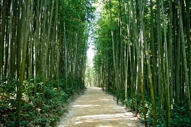 Seoul Wallpapers   World Wallpapers