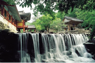 Korea Wallpapers   192125