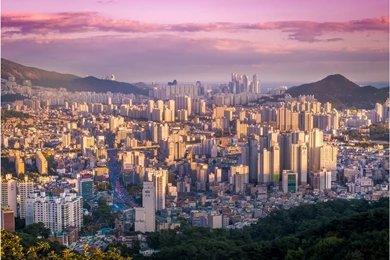 Overhead View 4K Busan South Korea Wallpapers