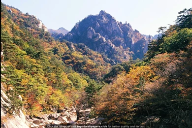 Cheonbuldong Valley In Fall Seoraksan South Korea 4K Or HD ...