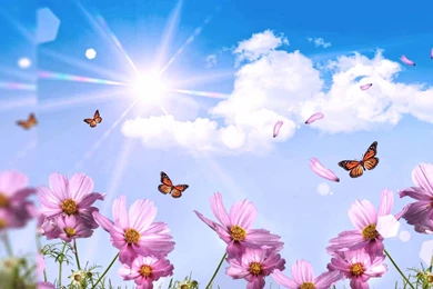 Summer Scenes HD Wallpapers ~ Toptenpack.com