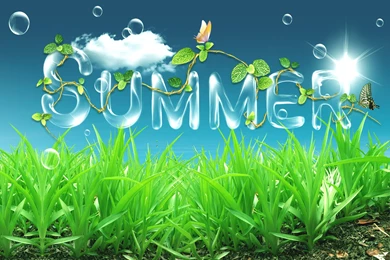 Freaking Great Summer Scenes Wallpapers