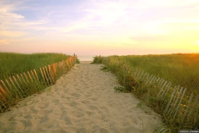 Beautiful Summer Wallpapers 3   Crazy Frankenstein