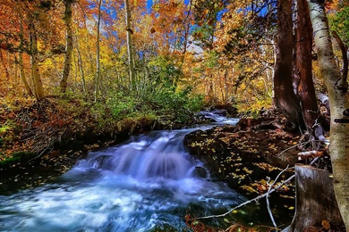 A Summer Scene Computer Wallpapers, Desktop Backgrounds ...