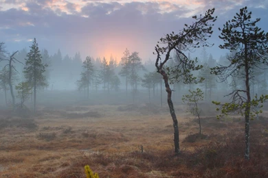 Outdoor Scenes   Week 11 Wallpapers   Traveler Photo Contest 2012 ...